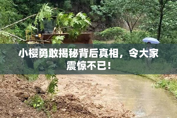 小樱勇敢揭秘背后真相，令大家震惊不已！