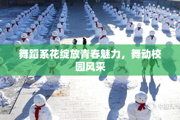 舞蹈系花绽放青春魅力，舞动校园风采
