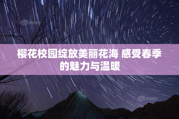 樱花校园绽放美丽花海 感受春季的魅力与温暖