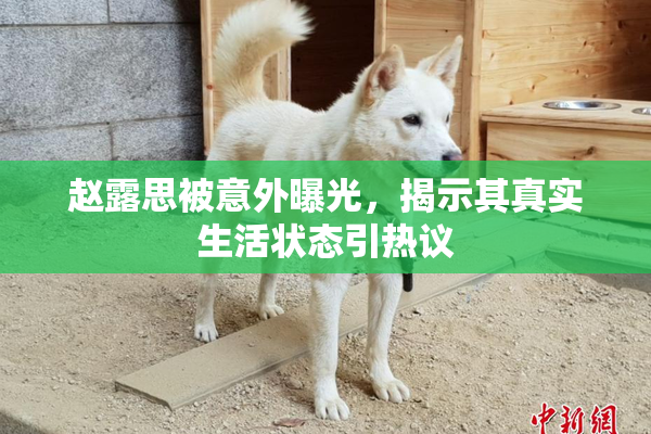 赵露思被意外曝光，揭示其真实生活状态引热议