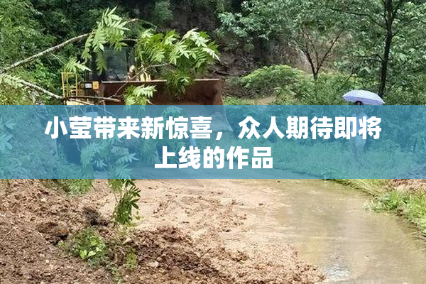 小莹带来新惊喜，众人期待即将上线的作品