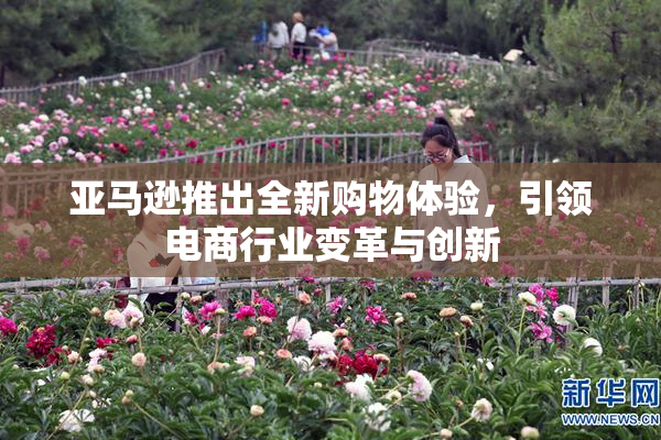 亚马逊推出全新购物体验，引领电商行业变革与创新