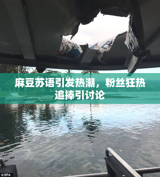 麻豆苏语引发热潮，粉丝狂热追捧引讨论