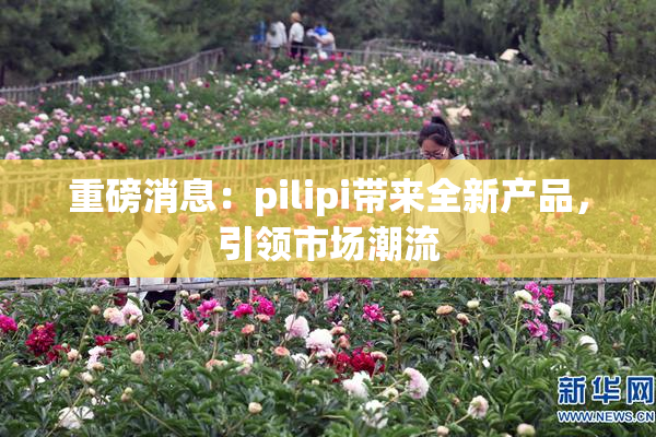 重磅消息：pilipi带来全新产品，引领市场潮流
