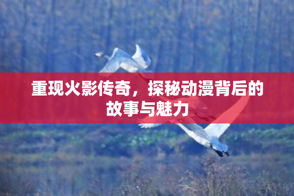 重现火影传奇，探秘动漫背后的故事与魅力