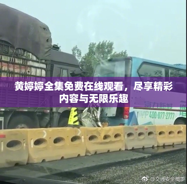 黄婷婷全集免费在线观看，尽享精彩内容与无限乐趣