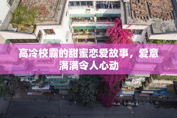 高冷校霸的甜蜜恋爱故事，爱意满满令人心动