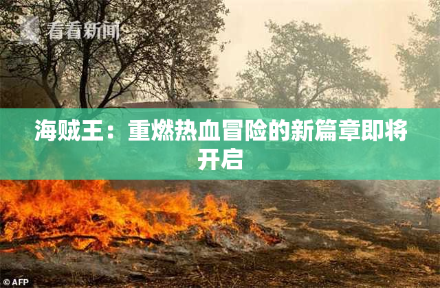 海贼王：重燃热血冒险的新篇章即将开启