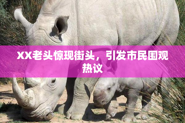 XX老头惊现街头，引发市民围观热议
