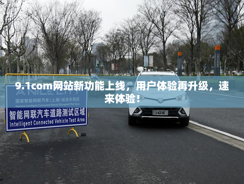 9.1com网站新功能上线，用户体验再升级，速来体验！