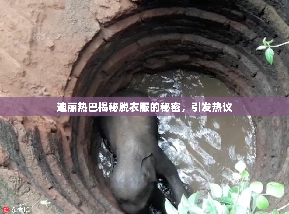 迪丽热巴揭秘脱衣服的秘密，引发热议