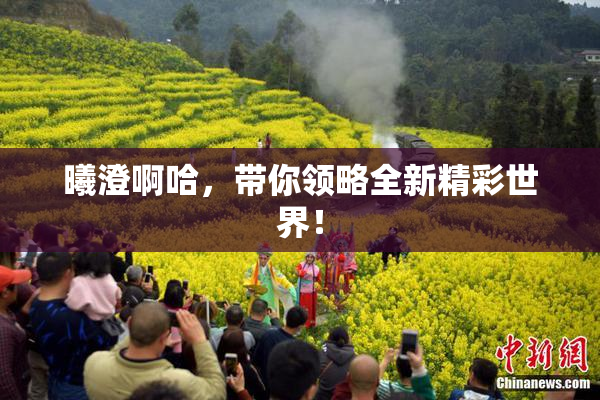 曦澄啊哈，带你领略全新精彩世界！