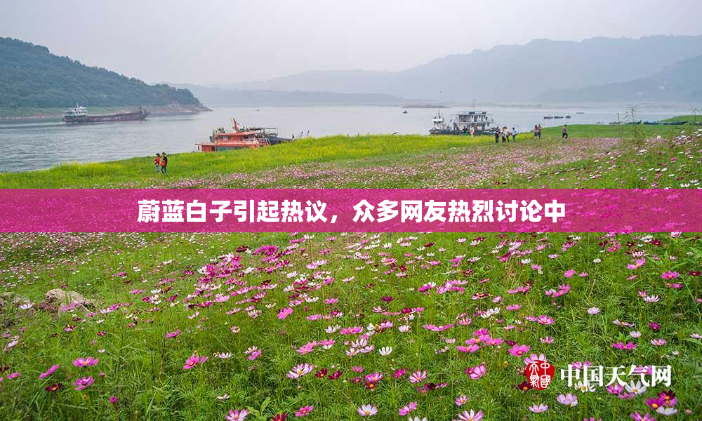 蔚蓝白子引起热议，众多网友热烈讨论中