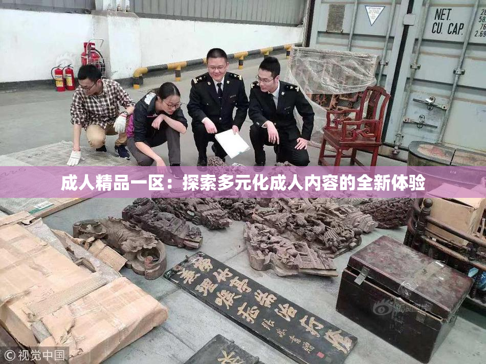 成人精品一区：探索多元化成人内容的全新体验