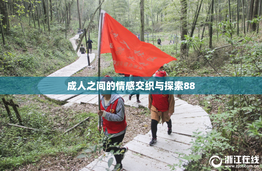 成人之间的情感交织与探索88