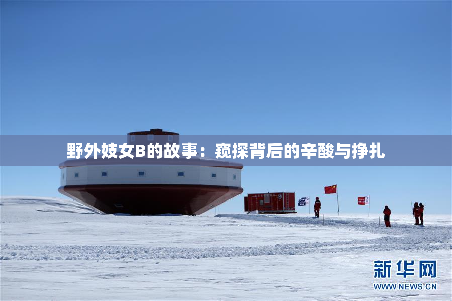 野外妓女B的故事：窥探背后的辛酸与挣扎