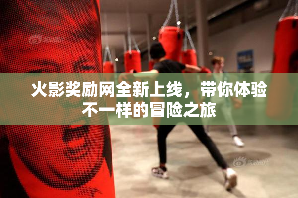 火影奖励网全新上线，带你体验不一样的冒险之旅