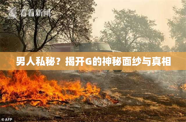 男人私秘？揭开G的神秘面纱与真相