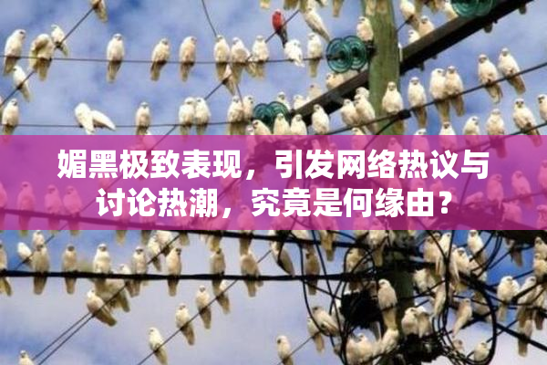 媚黑极致表现，引发网络热议与讨论热潮，究竟是何缘由？
