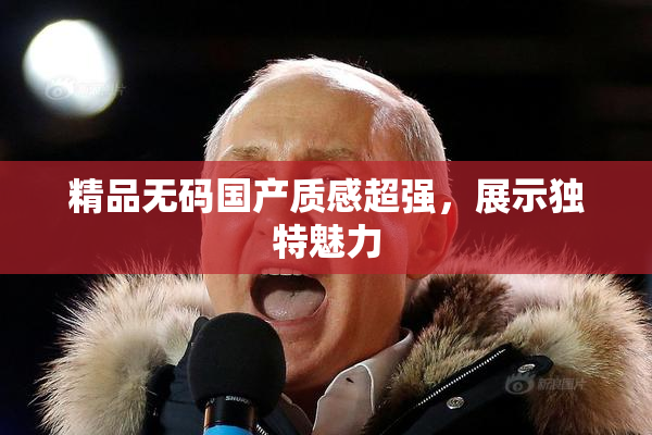 精品无码国产质感超强，展示独特魅力