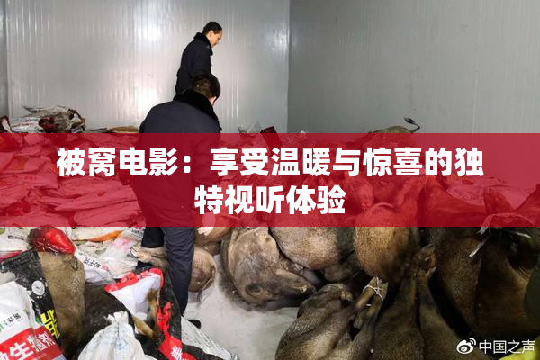 被窝电影：享受温暖与惊喜的独特视听体验