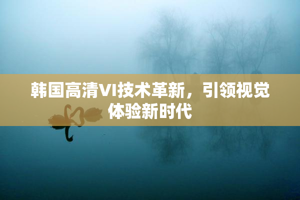 韩国高清VI技术革新，引领视觉体验新时代