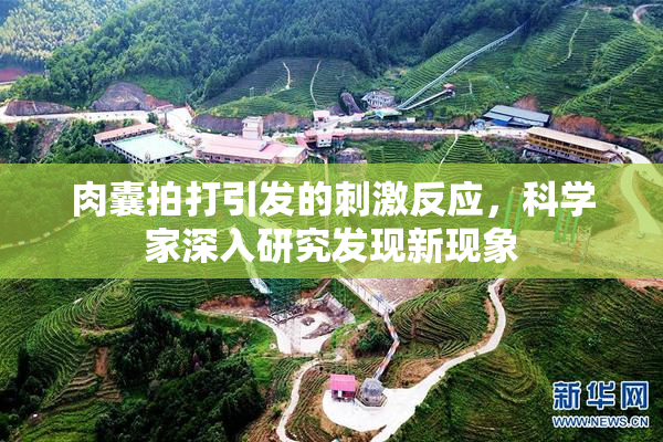 肉囊拍打引发的刺激反应，科学家深入研究发现新现象