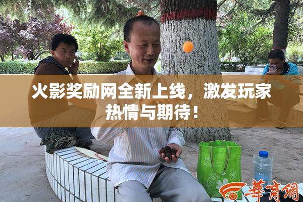 火影奖励网全新上线，激发玩家热情与期待！
