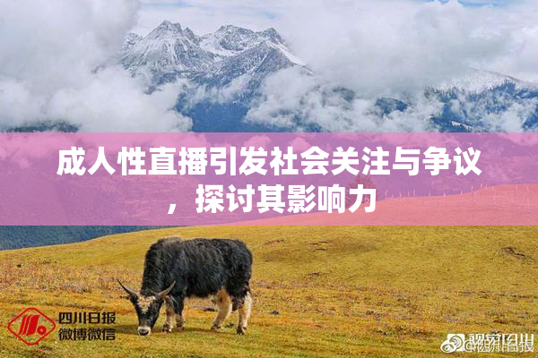 成人性直播引发社会关注与争议，探讨其影响力