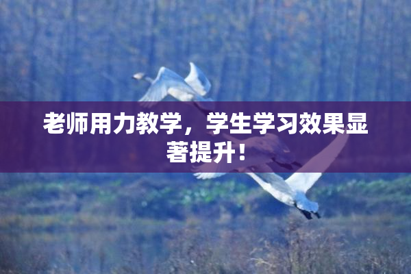老师用力教学，学生学习效果显著提升！
