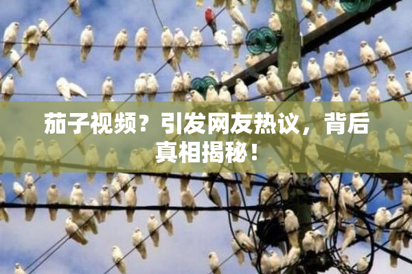 茄子视频？引发网友热议，背后真相揭秘！
