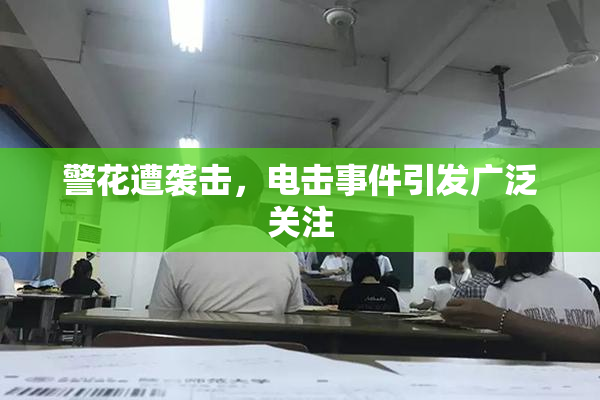警花遭袭击，电击事件引发广泛关注