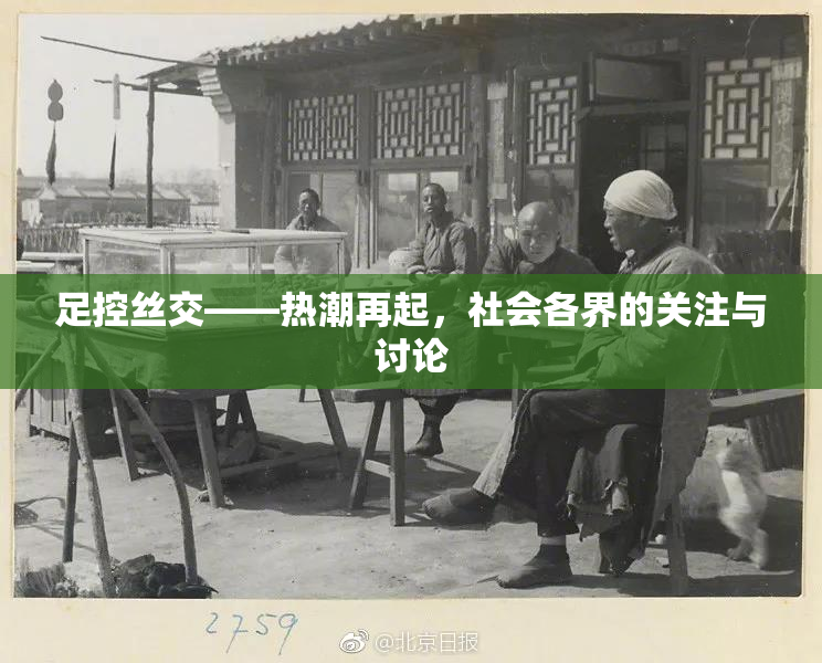 足控丝交——热潮再起，社会各界的关注与讨论