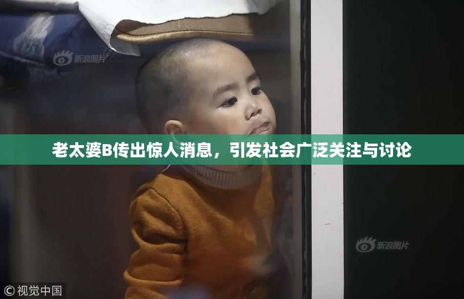 老太婆B传出惊人消息，引发社会广泛关注与讨论