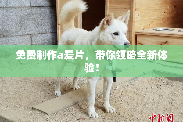 免费制作a爰片，带你领略全新体验！