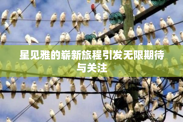星见雅的崭新旅程引发无限期待与关注