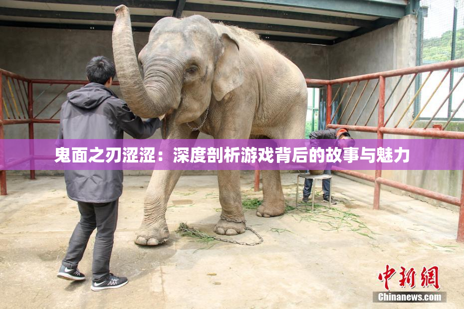 鬼面之刃涩涩：深度剖析游戏背后的故事与魅力