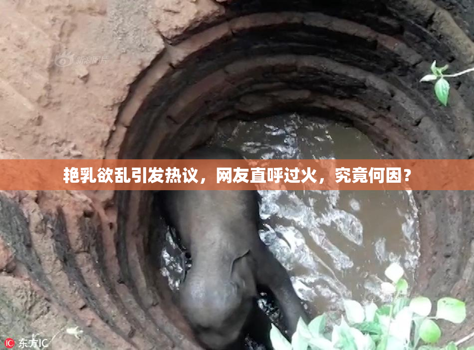 艳乳欲乱引发热议，网友直呼过火，究竟何因？