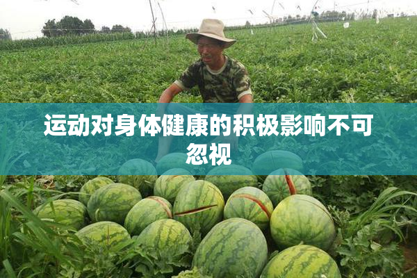 运动对身体健康的积极影响不可忽视