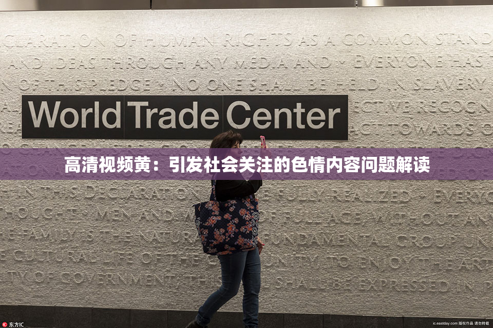 高清视频黄：引发社会关注的色情内容问题解读