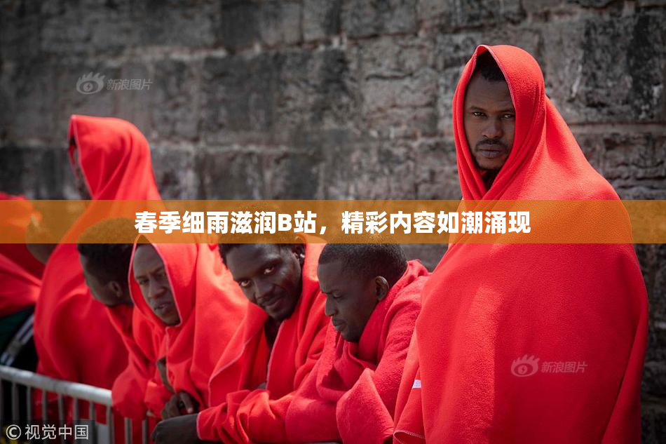 春季细雨滋润B站，精彩内容如潮涌现