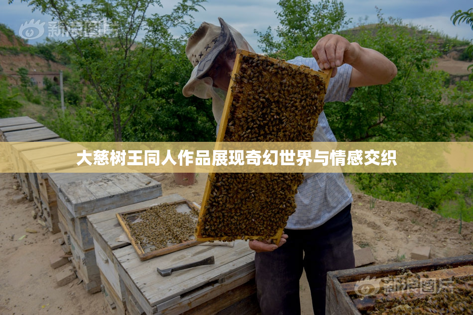 大慈树王同人作品展现奇幻世界与情感交织