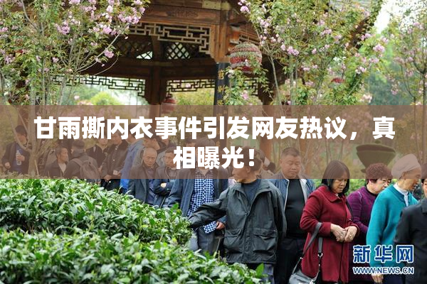 甘雨撕内衣事件引发网友热议，真相曝光！