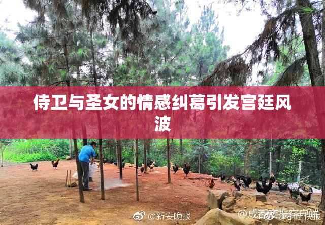 侍卫与圣女的情感纠葛引发宫廷风波