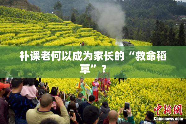 补课老何以成为家长的“救命稻草”？