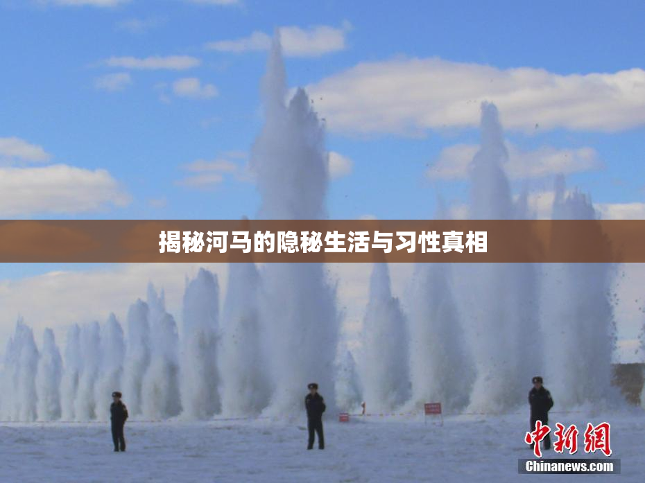 揭秘河马的隐秘生活与习性真相