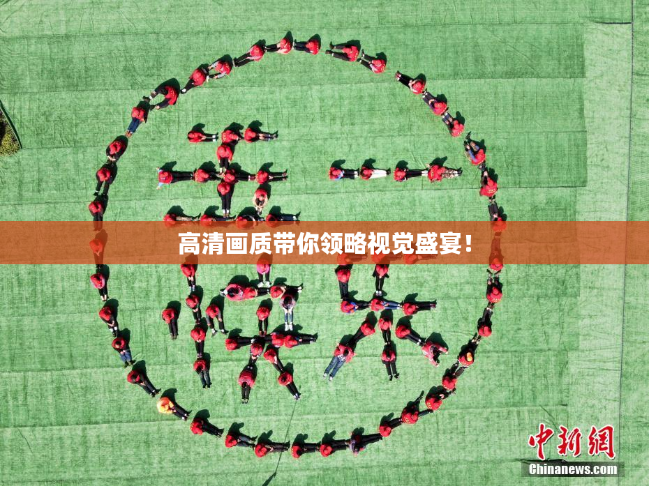 高清画质带你领略视觉盛宴！