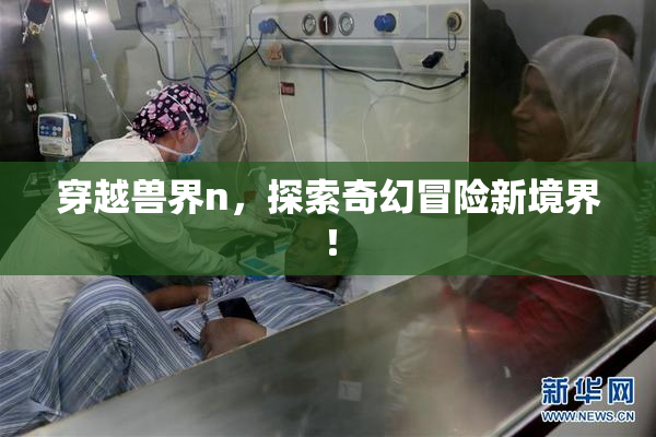 穿越兽界n，探索奇幻冒险新境界！