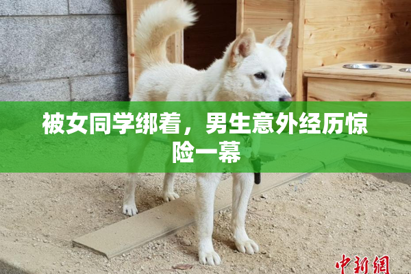 被女同学绑着，男生意外经历惊险一幕