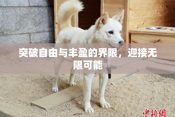 突破自由与丰盈的界限，迎接无限可能